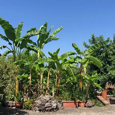 Nyaraló Casa Green *