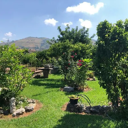 Casa Green