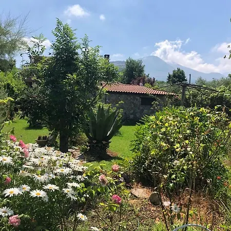 Nyaraló Casa Green *