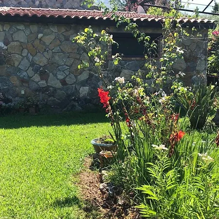 Casa Green Cirella
