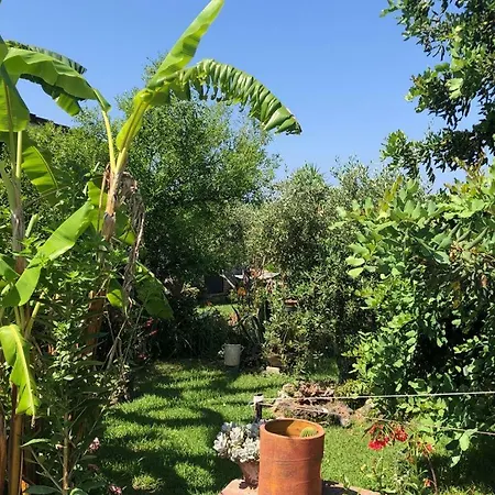 Casa Green Nyaraló
