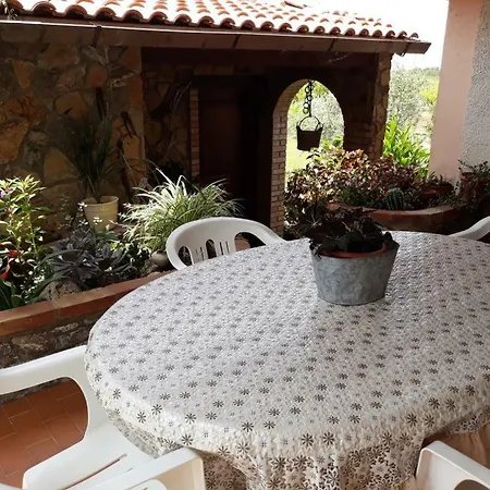 Casa Green *